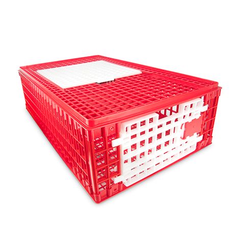 POULTRY TRANSPORT CRATE - TWO DOOR (RED 2 X WHITE DOORS)
