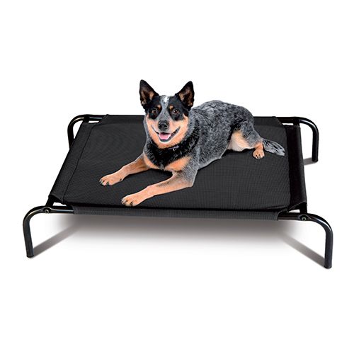 Elevated sling 2025 dog bed