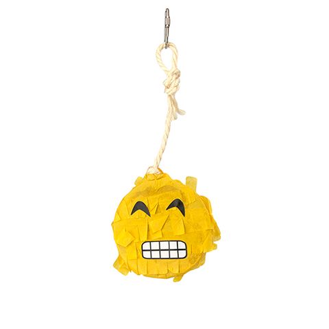 Bird Toy Piñata - Emoji Grimace