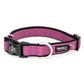 Premium Sport Dog Collars