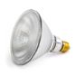 Infrared Light Bulb