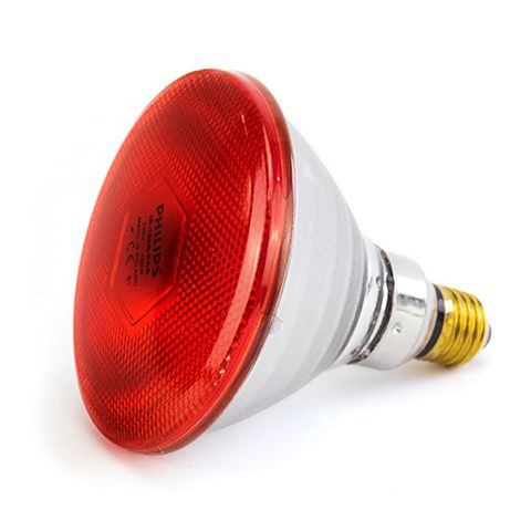 INFRARED LIGHT BULB 175W