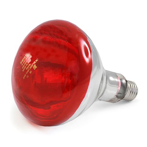 INFRARED LIGHT BULB 250W - PHILLIPS