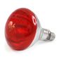 Infrared Light Bulb
