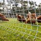 POULTRY NETTING – ELECTRIC – PREMIUM – 108CM x 50M