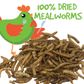 Dried Mealworms