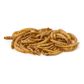 Dried Mealworms