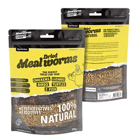DRIED MEALWORMS 250G