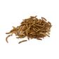 Dried Mealworms