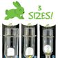 Glass Water Bottle Rabbits