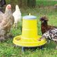 Supreme Poultry Feeder With Cover