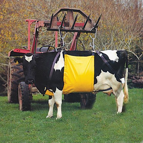 BAINBRIDGE COW LIFTER SUPREME - XL SIZE