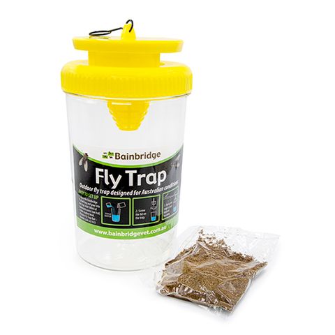 Fly Trap With Bait