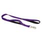 Premium Sport Leads