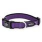 Premium Sport Dog Collars