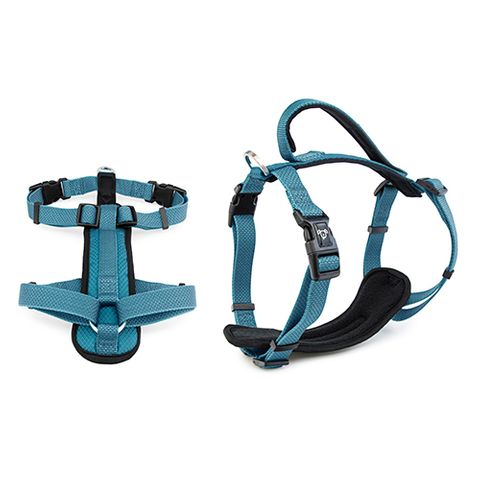 PREMIUM HARNESS 15MM X 30-40CM BLUE