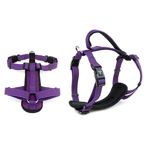 PREMIUM HARNESS 15MM X 30-40CM PURPLE