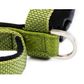 Premium Sports Harness