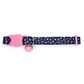 Dotted Cat Collar