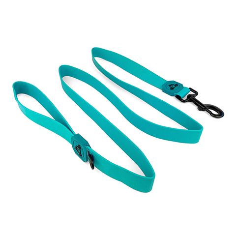 DOG LEASH WATERPROOF - 2.5CM X 150CM - AQUA BLUE