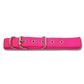 Webbed Dog Collars