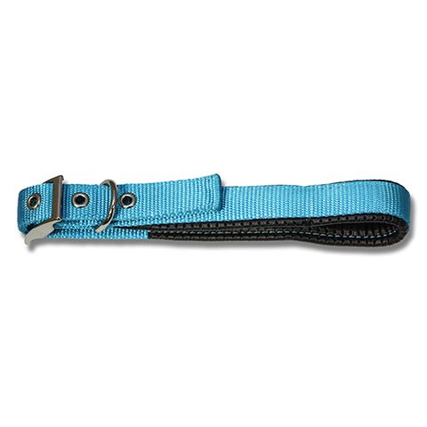 45CM DOG COLLAR PADDED AQUA