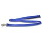 Padded Webbed Dog Lead