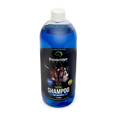 Shampoo show new arrivals