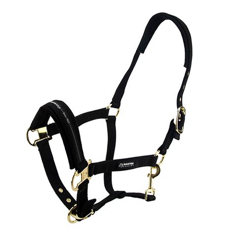 Bainbridge Horse Halters