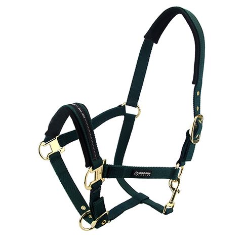 BAINBRIDGE HORSE HALTER - COB - GREEN