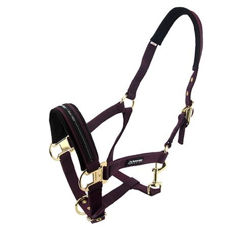 BAINBRIDGE HORSE HALTER - COB - PURPLE