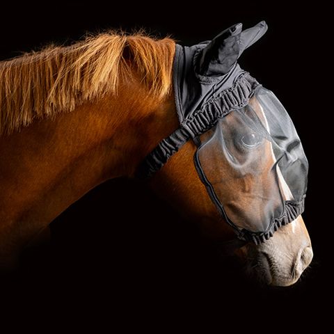 Fly Mask - Ear Covers - Padded Elastic