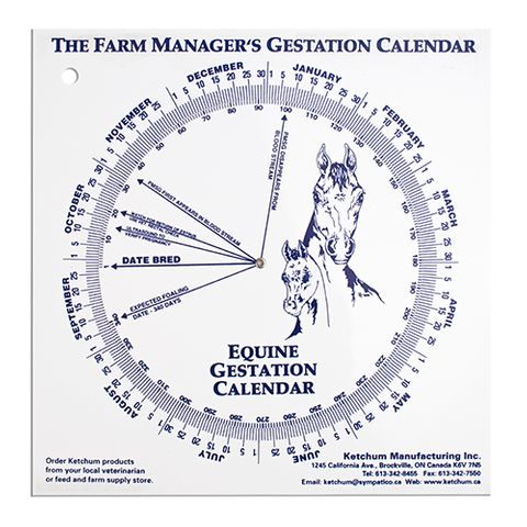 GESTATION CALENDER - EQUINE