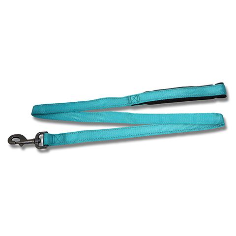 DOG LEAD REFLECTIVE 120CM X 25MM AQUA