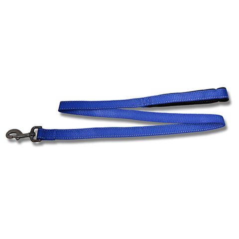 DOG LEAD REFLECTIVE 120CM X 25MM BLUE