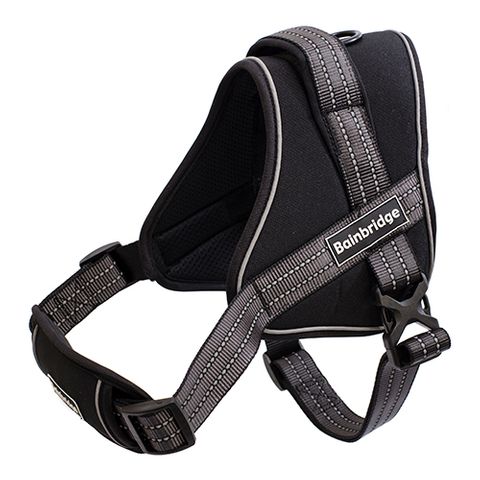 Padded Dog Harness