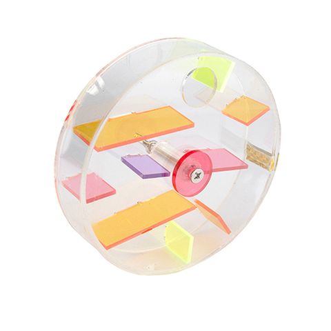 Bird Toy Interactive - Foraging Cage Wheel