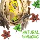 BIRD TOY - NATURALS - FORAGING BALL WITH LEAVES