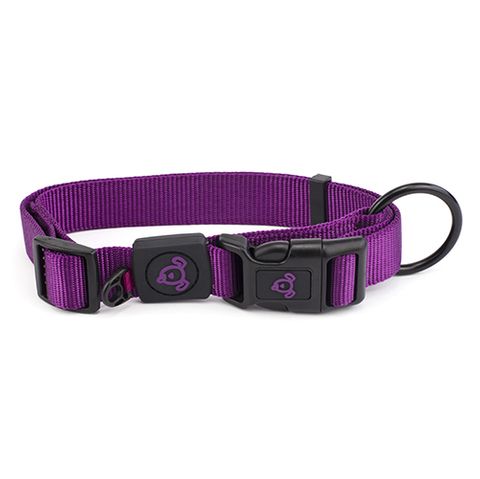 NYLON DOG COLLAR W/ LOGO 15-25CM PURPLE