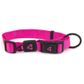 Nylon Dog Collar