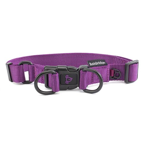 NYLON DOUBLE RING COLLAR MED PURPLE