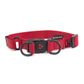 Nylon Double Dog Collar