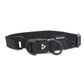 Nylon Double Dog Collar