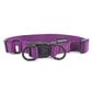 Nylon Double Dog Collar