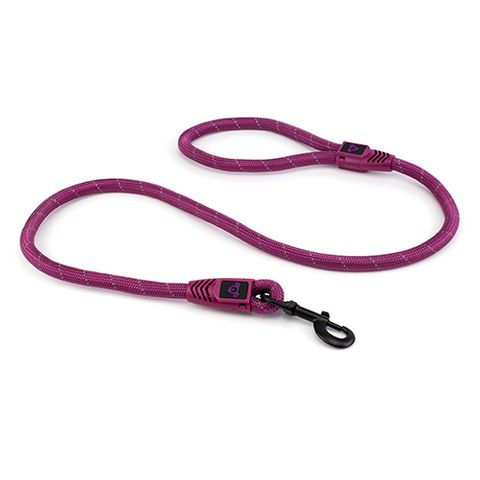 REFL ROPE LEASH W/ SNAPHOOK PURPLE