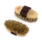 Grip-Fit Stiff Grooming Brushes