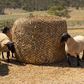 Round Bale Hay Net - Knotted