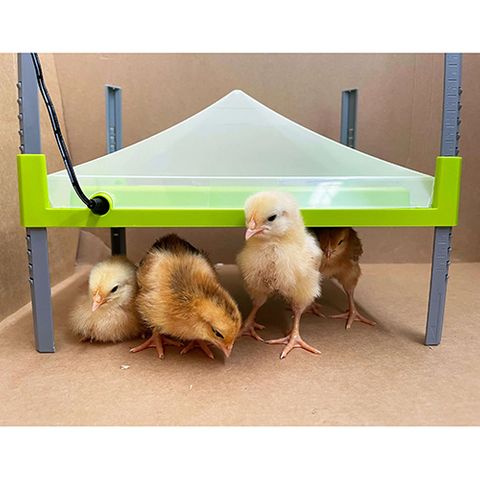 COVER FOR CHICK HEATING PLATE 23CM X 30.5CM