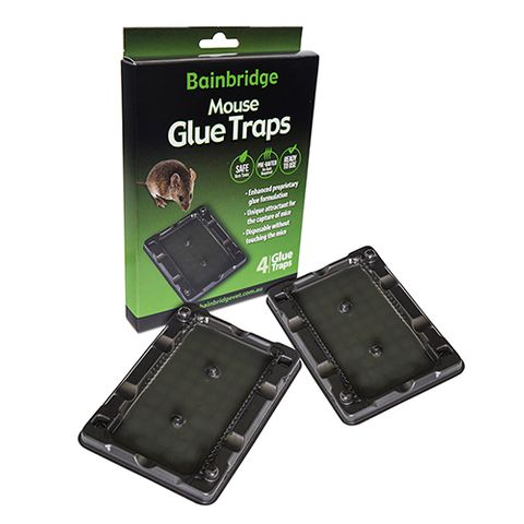 Mouse Glue Trap, Professional Strength, 4-Pk.