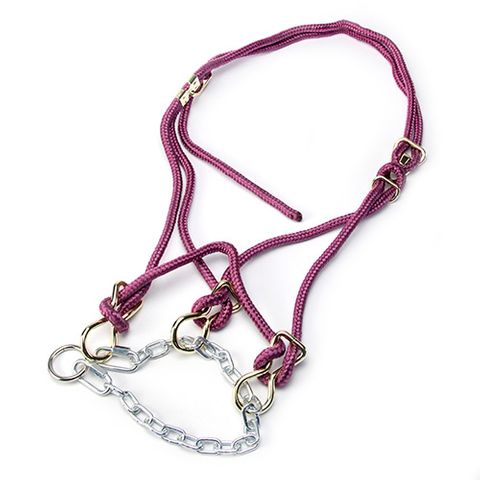 HACKAMORE HALTER BULL - MAROON